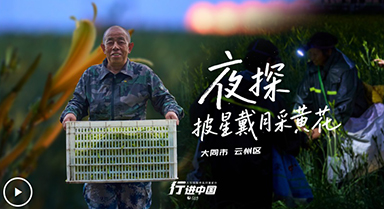 “花”式產業綻放沃野