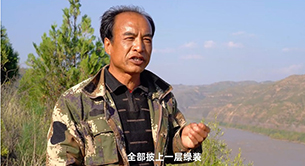 黃河崖壁種樹記